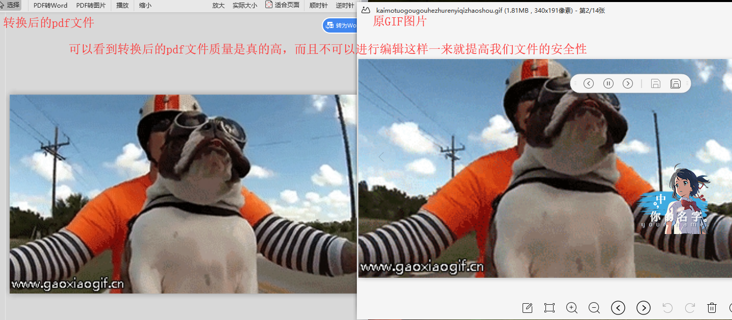 GIF动图转换成pdf文件的方法图5